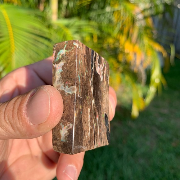 Precious conk opal - Picture 7 of 7